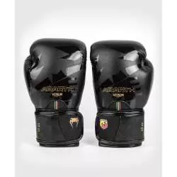 Gants de boxe Venum abarth (noir/or)2