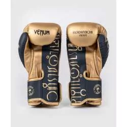 Gants muay thai Venum rajadamnern (sable)2