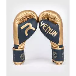 Gants muay thai Venum rajadamnern (sable)3