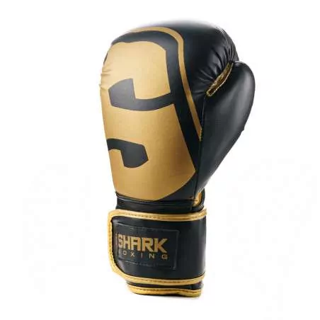 Gants de muay thai Shark SKF3.0 (noir/or)