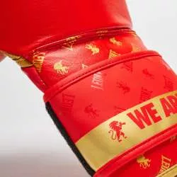 Gants de boxe DNA Leone GN220 rouge 6