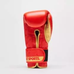 Gants de boxe DNA Leone GN220 rouge 3